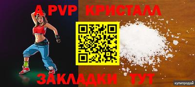 кокс Гатчина