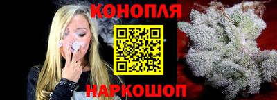 кокс Гатчина