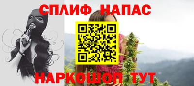кокс Гатчина