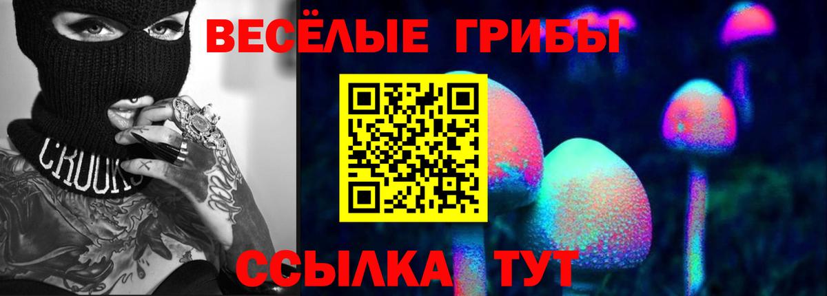 Новосибирск  Галлюциногенные грибы ЛСД  Вход с VPN 
