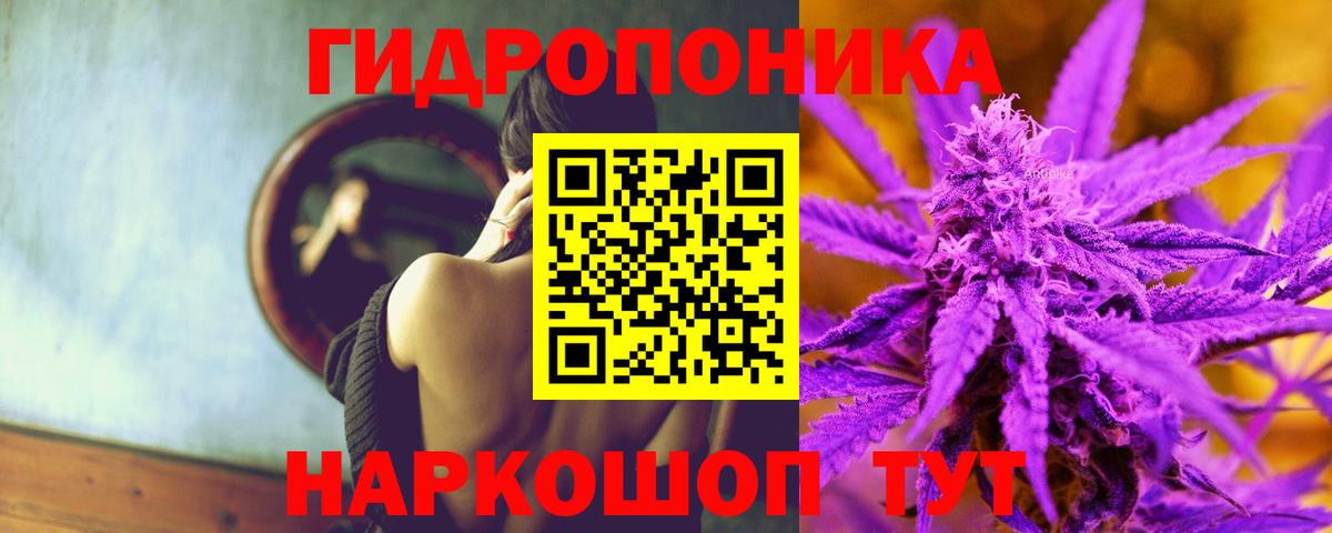 Новосибирск  Конопля конопля  Канабис OG Kush  Вход с VPN 